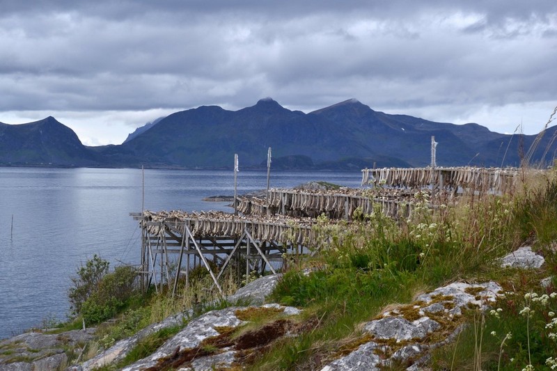 Henningsvær