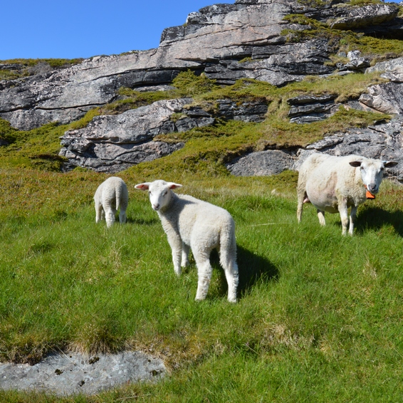 1513505743-DSC-02391