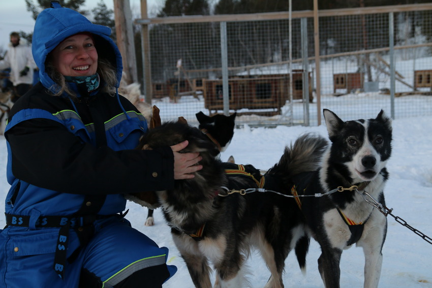 Husky psí spřežení