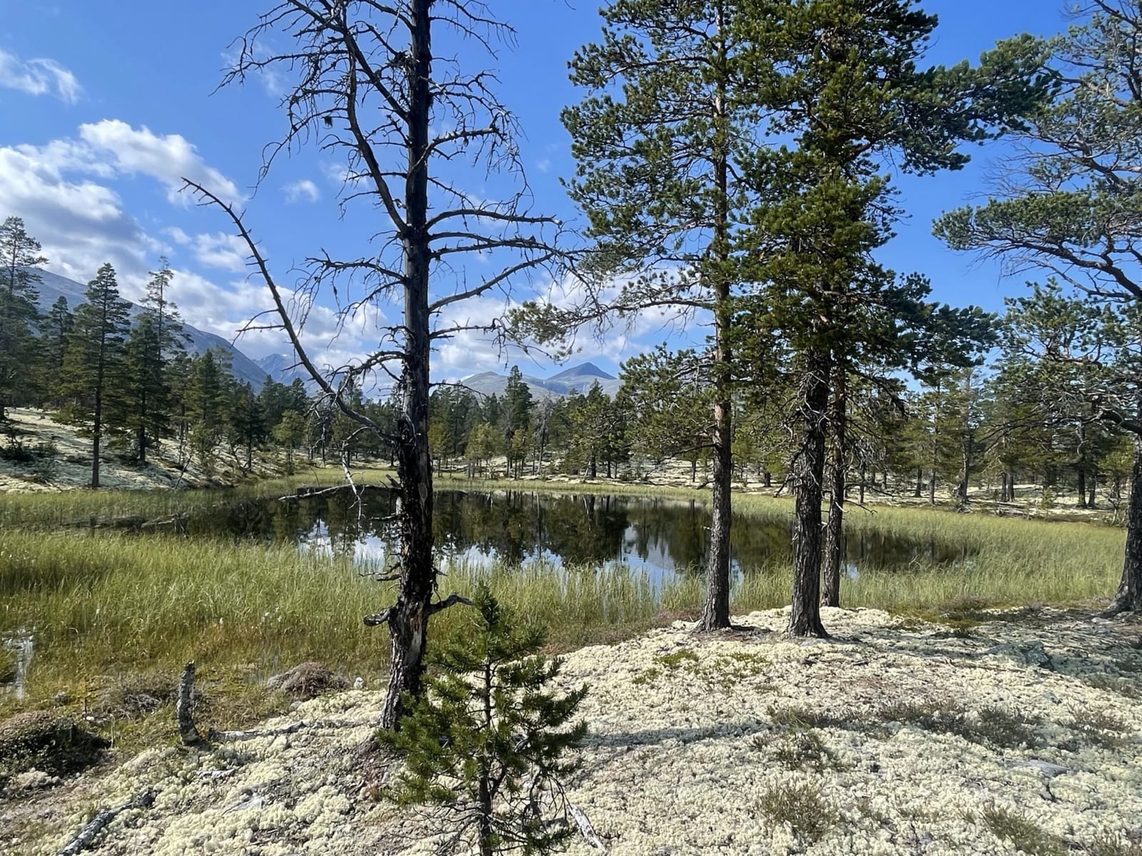 Dovrefjell a Rondane