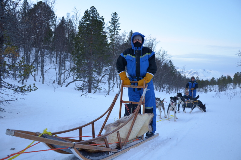 Husky – psí fenomén polárních oblastí